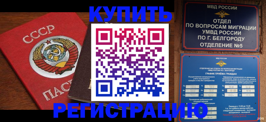 прописка для работы в Тынде